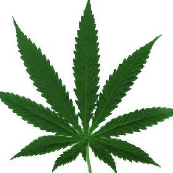 Meet your Posher, Josh - Picture 1 of 1